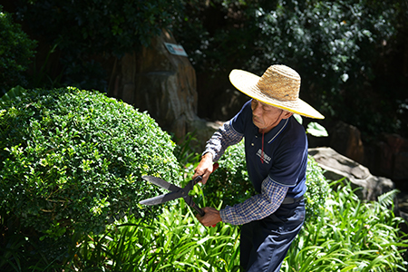 ng电子游戏·(中国区)官方网站