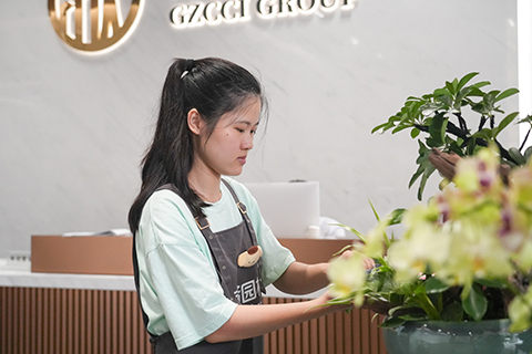 ng������Ϸ��(�й���)�ٷ���վ