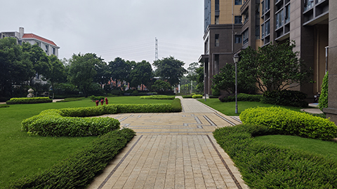 ng������Ϸ��(�й���)�ٷ���վ