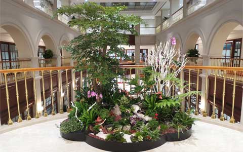 点赞！ng电子游戏园林再获华为、前海浚浚浚控股、空港中心通...