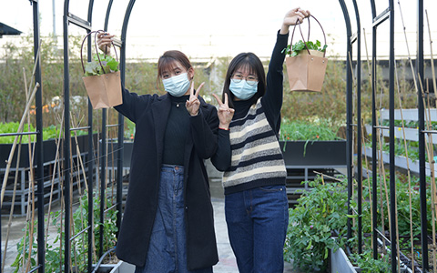 ng电子游戏园林：可私人订制的都会农场来了