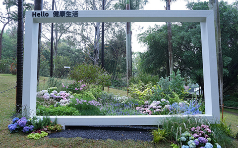 先睹为快！ng电子游戏园林康健景观花境作品亮相第30届园博会