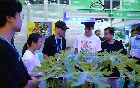 陶醉式体验ng电子游戏园林“自然集叙”展会现。。。