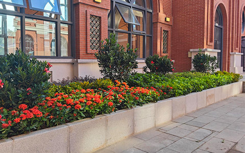 ng电子游戏园林案例，，，中山大学博物馆绿化景观提升项目圆满完成