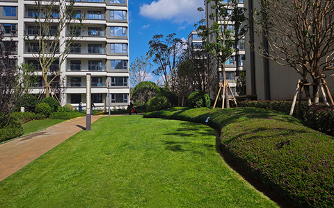 喜讯！ng电子游戏园林中标中化金茂物业昆明区域绿化养护项目