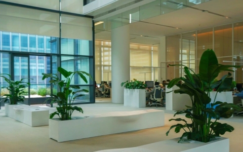 生态办公，，，自在呼吸 | 绿色办公新民俗