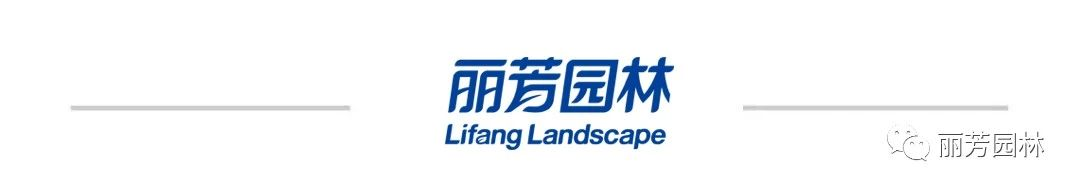 ng������Ϸ��(�й���)�ٷ���վ