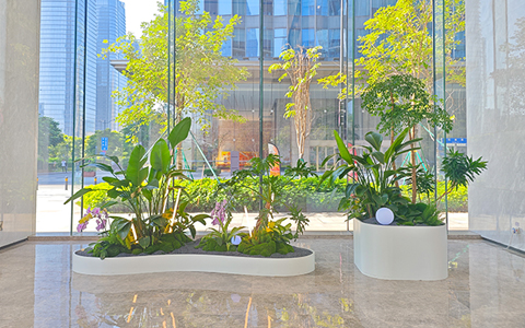 都会绿蕴，，，优美可及 | 广州琶洲绿植租摆案例