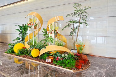 ng电子游戏园林绿植租摆——白云金控大厦