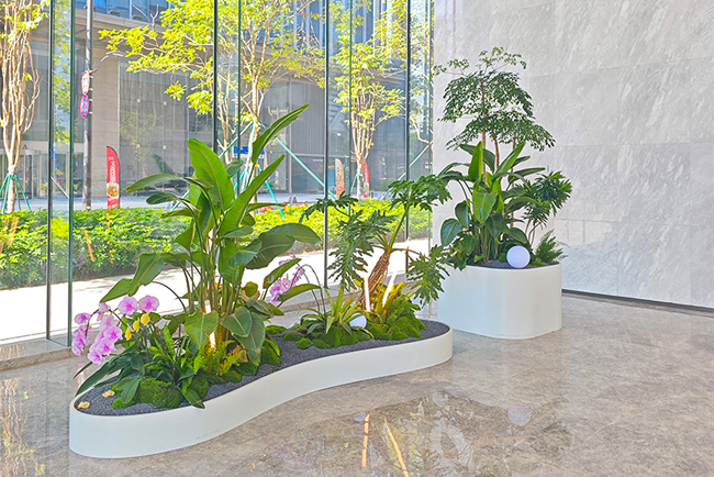 ����С�״�����ֲ���