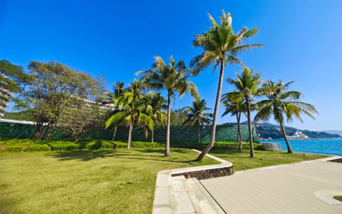 ng������Ϸ԰�ְ��� | �������Ž�ɳ����������������רҵ��������ɽ������